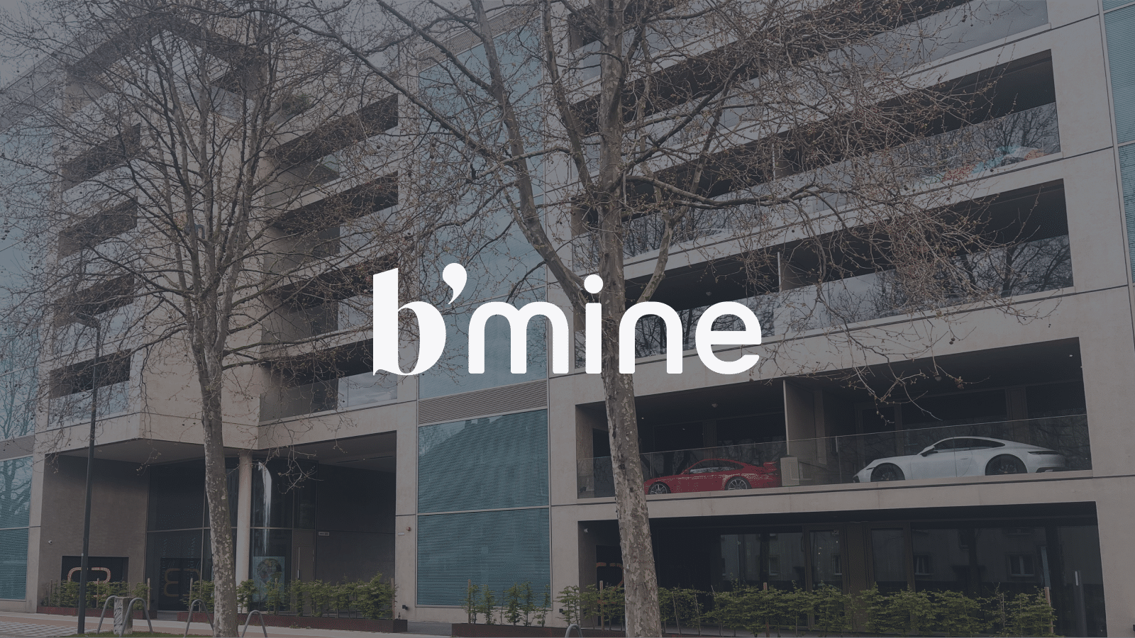 b'mine website preview